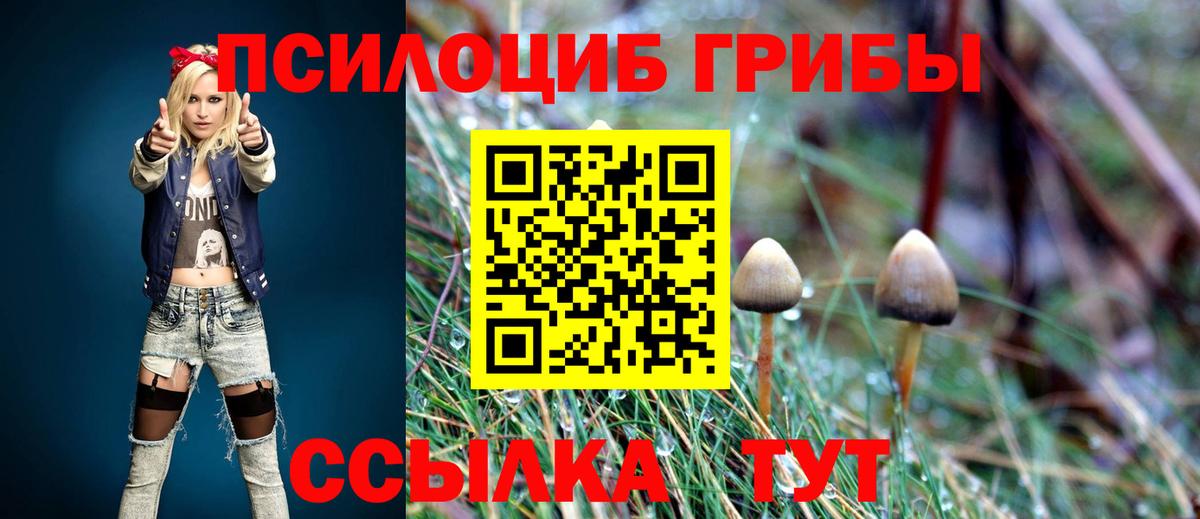 Галлюциногенные грибы мицелий Аргун