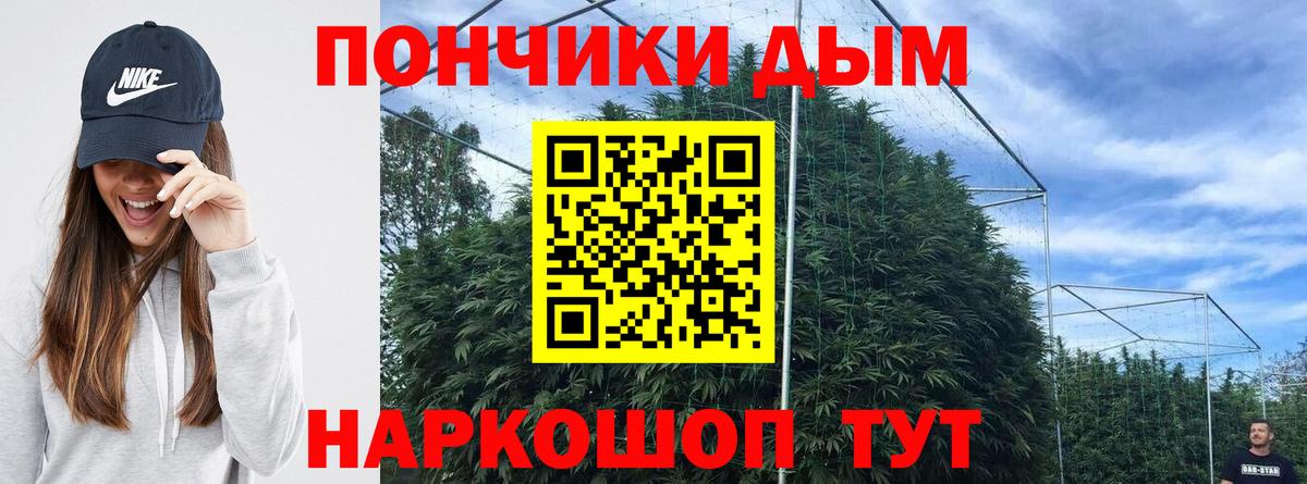 Аргун  Бошки марихуана семена  Вход с VPN  Бошки Шишки сатива  Шишки марихуана гибрид 